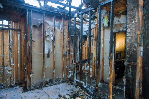 Professional Fire Damage Removal technician working in Clarksville, TX